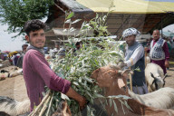 Eid Preparations In Kashmir