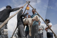 Eid Preparations In Kashmir