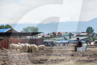 Eid Preparations In Kashmir