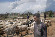 Eid Preparations In Kashmir