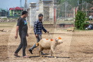 Eid Preparations In Kashmir