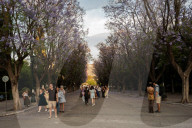 Daily Life In Athens Greece