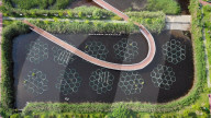 Sewage Treatment Plant