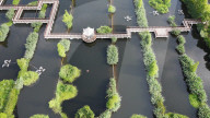 Sewage Treatment Plant