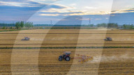 Wheat Harvest in Suqian