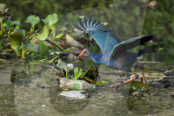 Sri Lanka‚Äôs Plastic Problem In Focus On Environment Day