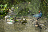 Sri Lanka‚Äôs Plastic Problem In Focus On Environment Day