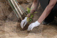 World Environment Day In Nepal.