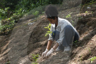 World Environment Day In Nepal.