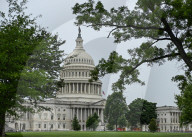 Washington DC Through Images