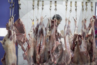 Iranians Marked Eid Al-Adha