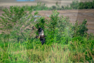 Wildlife In Ohio