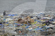 Pollution In Mumbai