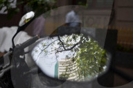 RBI Slashes Repo Rate To 5.5% In Surprise Move In Mumbai 