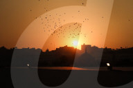 Eid Al-Adha Prayer In Egypt 