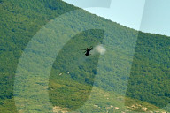 US participates in joint NATO military drill DEFENDER 25