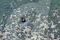 US participates in joint NATO military drill DEFENDER 25