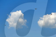 US participates in joint NATO military drill DEFENDER 25