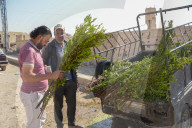 Eid In Al-Hajar Al-Aswad: Visits To Loved Ones’ Graves