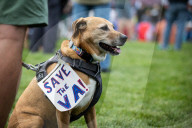 Veterans march draws thousands in Washington, DC 