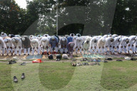 Eid Al-Adha Prayers In India, Kolkata