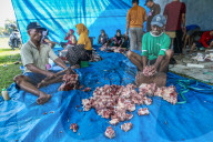 Eid Al-Adha In Indonesia
