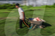 Eid Al-Adha In Indonesia