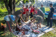 Eid Al-Adha In Indonesia