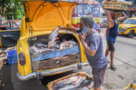 Daily Life In India