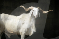 2025 Eid-el-Kabir In Lagos, Nigeria