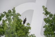 Eagles In Ohio