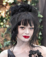 Los Angeles Premiere Of Universal Pictures And DreamWorks Animation's 'How To Train Your Dragon'