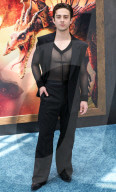 Los Angeles Premiere Of Universal Pictures And DreamWorks Animation's 'How To Train Your Dragon'