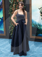 Los Angeles Premiere Of Universal Pictures And DreamWorks Animation's 'How To Train Your Dragon'