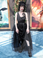 Los Angeles Premiere Of Universal Pictures And DreamWorks Animation's 'How To Train Your Dragon'