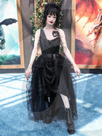 Los Angeles Premiere Of Universal Pictures And DreamWorks Animation's 'How To Train Your Dragon'