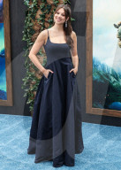 Los Angeles Premiere Of Universal Pictures And DreamWorks Animation's 'How To Train Your Dragon'