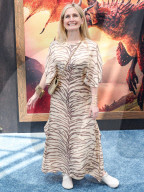 Los Angeles Premiere Of Universal Pictures And DreamWorks Animation's 'How To Train Your Dragon'