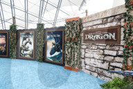 Los Angeles Premiere Of Universal Pictures And DreamWorks Animation's 'How To Train Your Dragon'