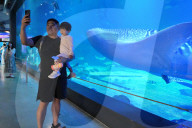 Marine Tourism Market
