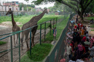 People Visit National Zoo On The Occasion Of Eid Holiday