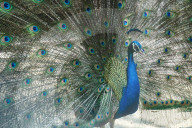 People Visit National Zoo On The Occasion Of Eid Holiday