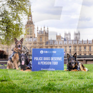 Recht auf Rente: Britische Polizeihunde und ihre Hundeführer demonstrieren vor dem Parlament in London