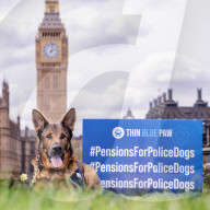 Recht auf Rente: Britische Polizeihunde und ihre Hundeführer demonstrieren vor dem Parlament in London