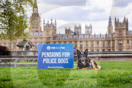 Recht auf Rente: Britische Polizeihunde und ihre Hundeführer demonstrieren vor dem Parlament in London