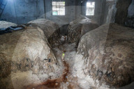 Animal Hides Arrive In Posta On Eid’s Third Day