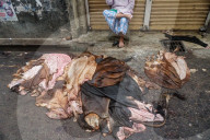 Animal Hides Arrive In Posta On Eid’s Third Day
