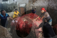 Animal Hides Arrive In Posta On Eid’s Third Day