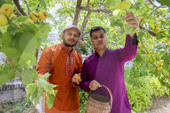 Foreign Students Participated in The Apricot Cultural Exchange Activity