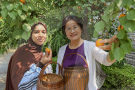Foreign Students Participated in The Apricot Cultural Exchange Activity